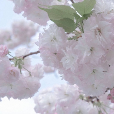 兽设家庭场景设计FurryQQ群